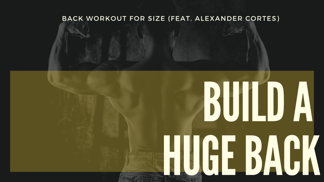 Back Workout for Size